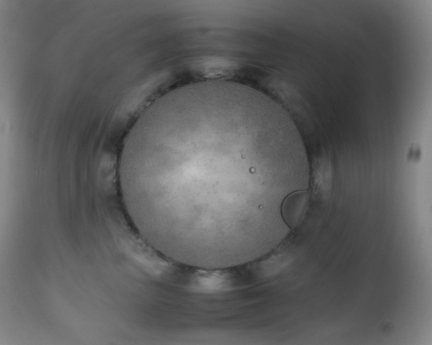X0000111150667200906301338