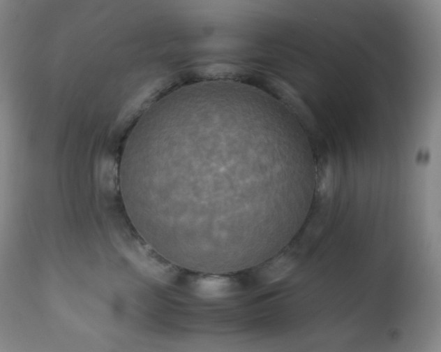 X0000111150669200906301338