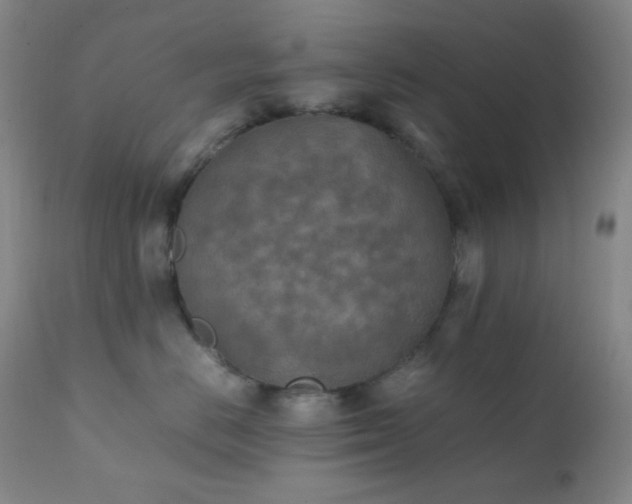 X0000111150670200906301338