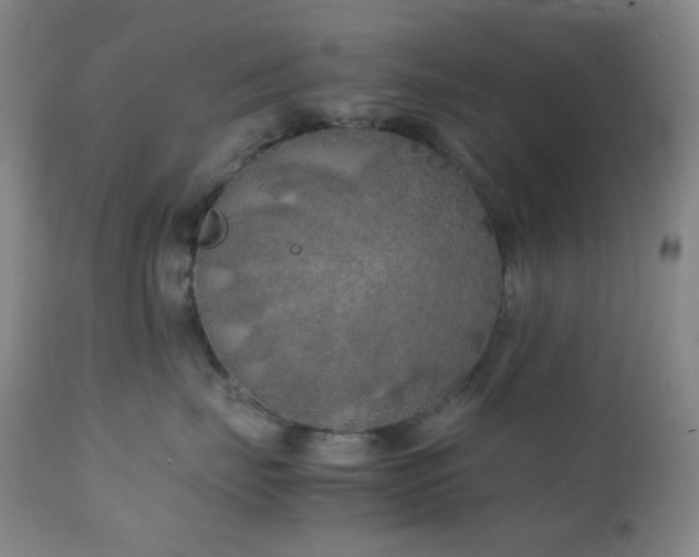 X0000111150671200906301338