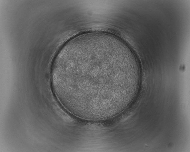 X0000111150673200906301338
