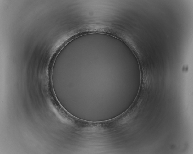 X0000111150674200906301338