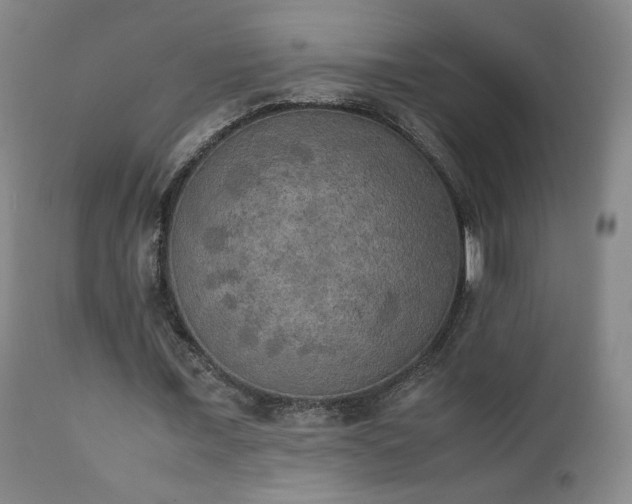 X0000111150675200906301338