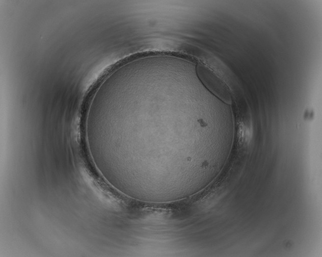 X0000111150676200906301338