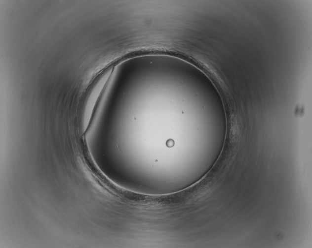 X0000111150677200906301338