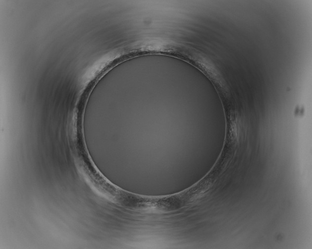 X0000111150678200906301338