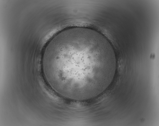 X0000111150679200906301338