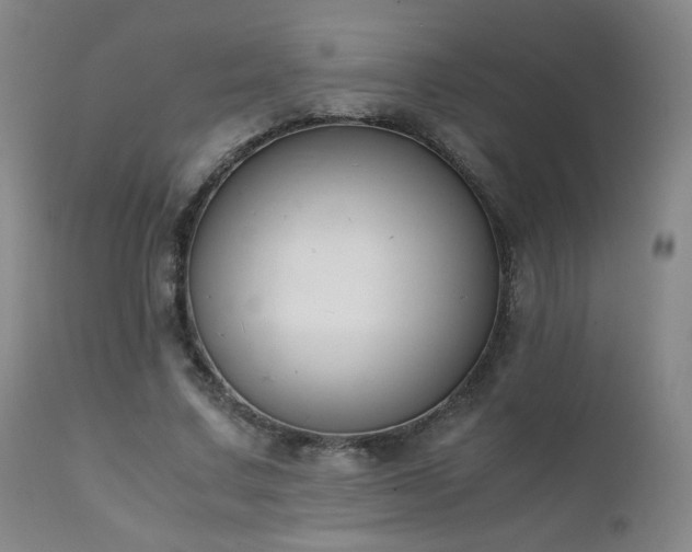 X0000111150683200906301338