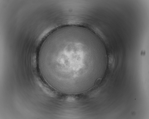 X0000111150684200906301338