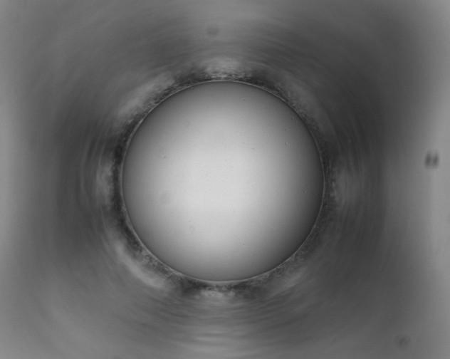 X0000111150690200906301337