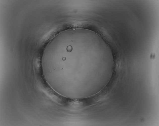 X0000111150691200906301337