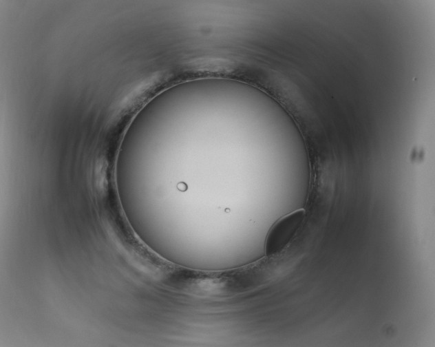 X0000111150692200906301337