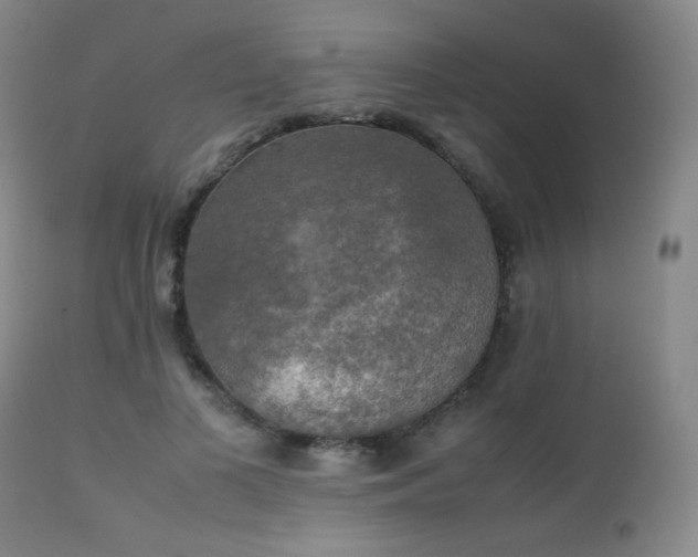 X0000111150693200906301337