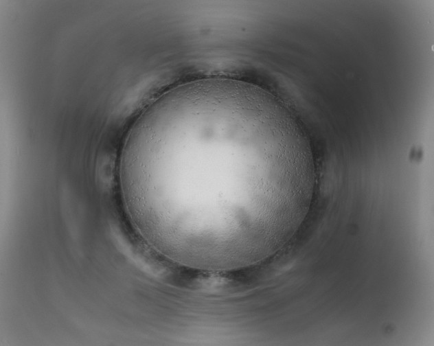 X0000111150695200906301337