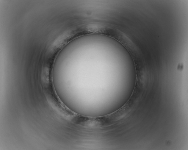 X0000111150696200906301337