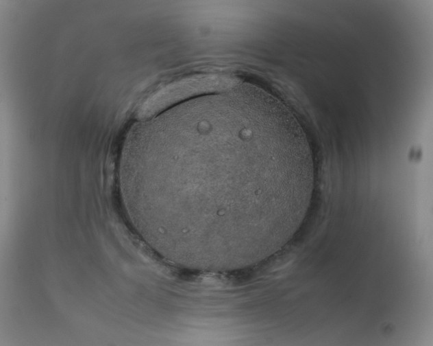 X0000111150697200906301337