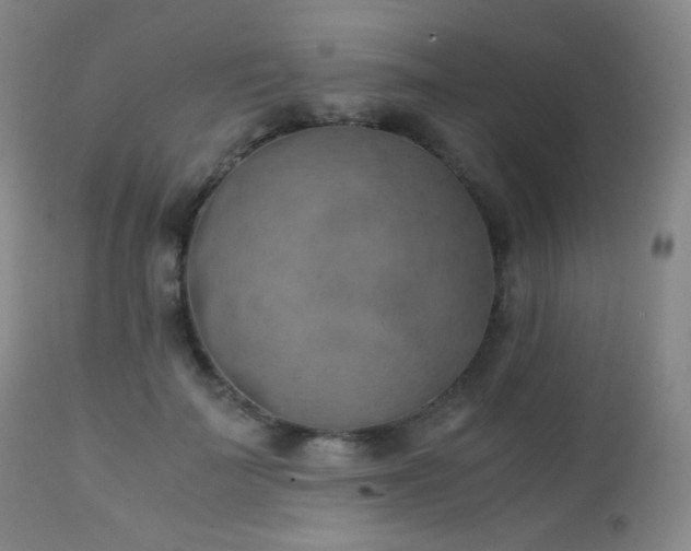 X0000111150699200906301337