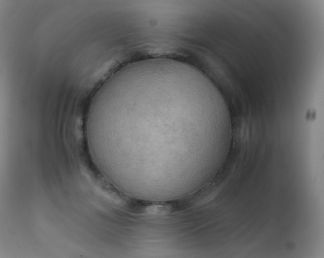 X0000111150700200906301337