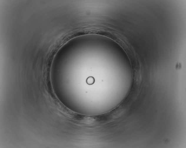 X0000111150701200906301337