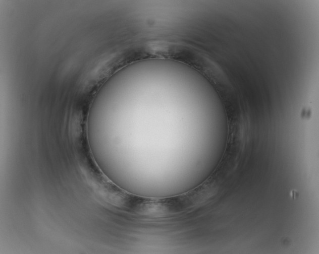 X0000111150702200906301337