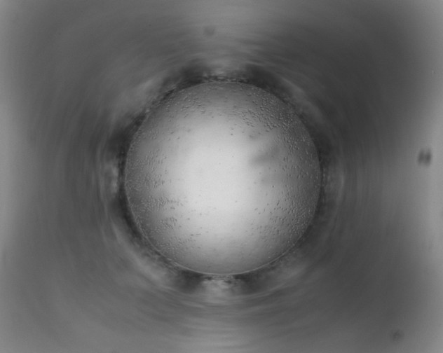 X0000111150703200906301337
