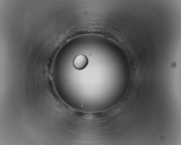 X0000111150704200906301337
