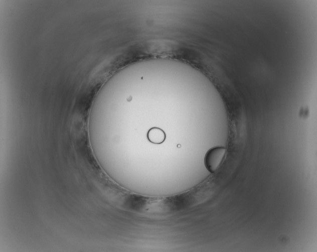 X0000111150705200906301337