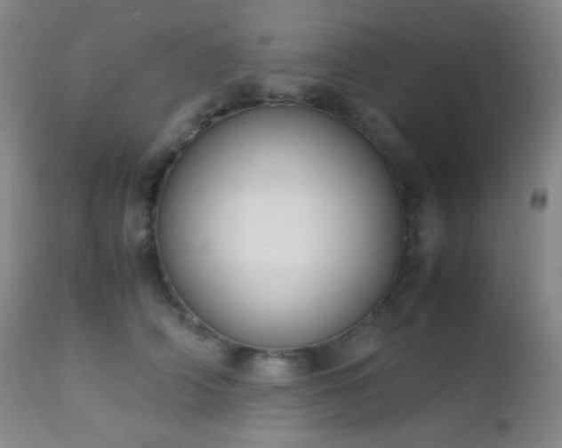 X0000111150706200906301337