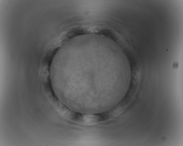 X0000111150707200906301337