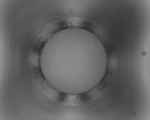 X0000111150709200906301337