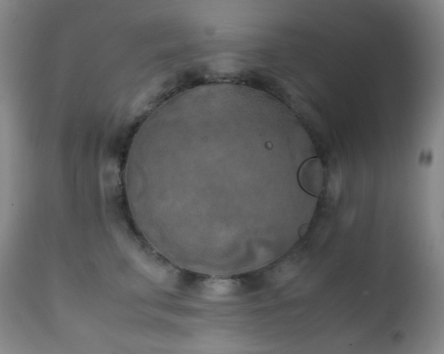 X0000111150711200906301337