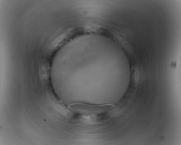 X0000111150712200906301337