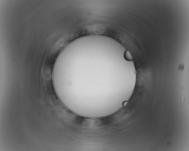 X0000111150713200906301337
