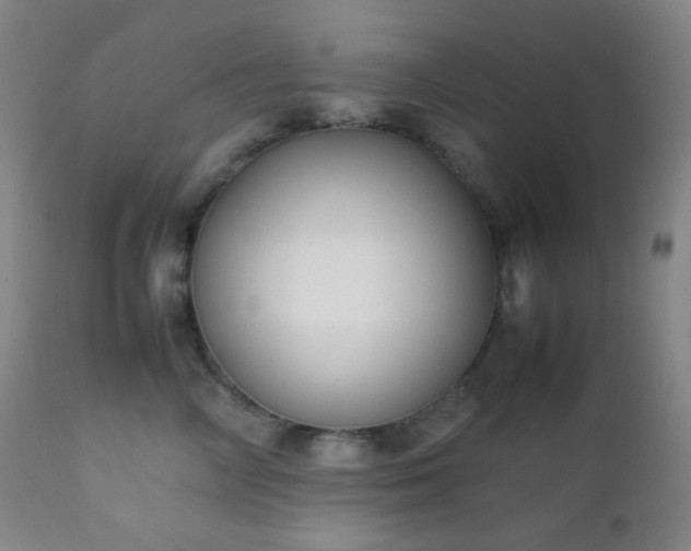 X0000111150714200906301337