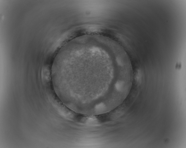 X0000111150715200906301337