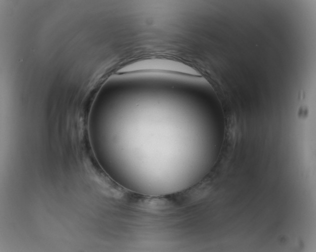 X0000111150716200906301337