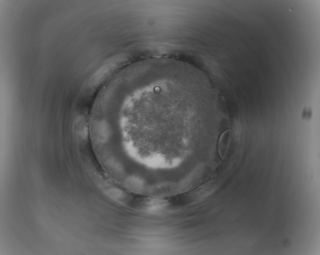 X0000111150719200906301337