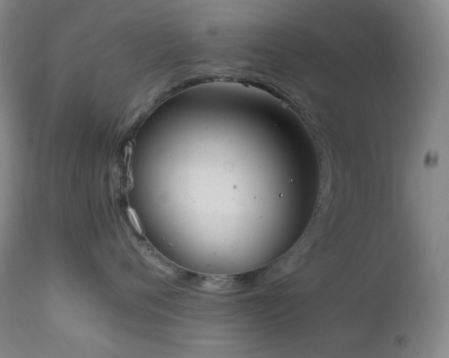 X0000111150720200906301337