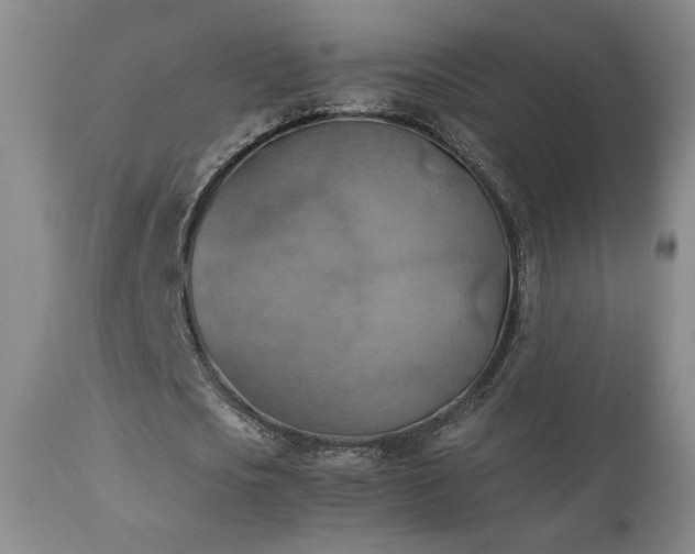 X0000111150721200906301336