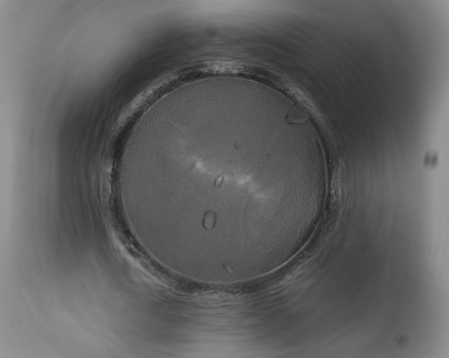 X0000111150722200906301336