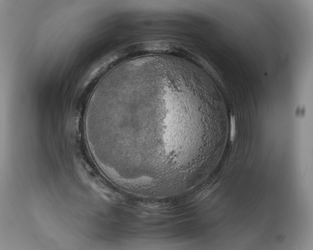 X0000111150723200906301336