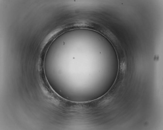 X0000111150724200906301336