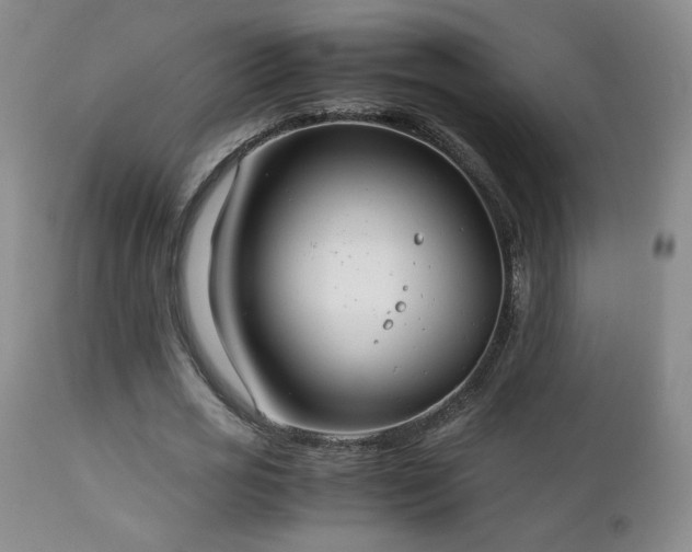 X0000111150725200906301336