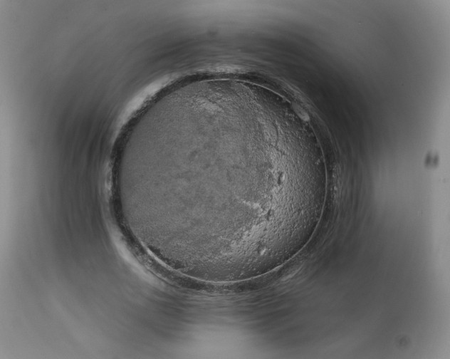 X0000111150726200906301336
