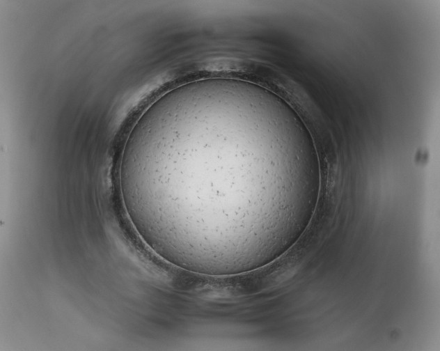X0000111150727200906301336
