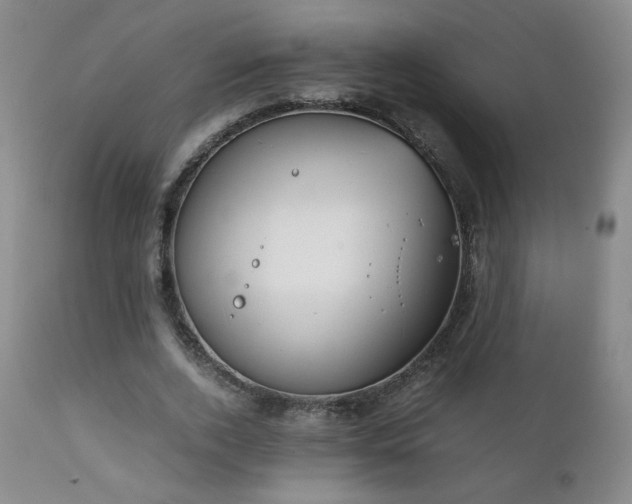 X0000111150728200906301337