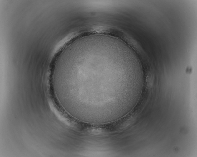 X0000111150730200906301337