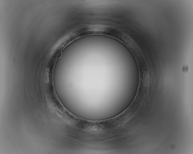 X0000111150731200906301337
