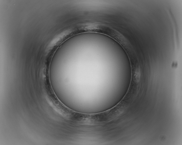 X0000111150732200906301337