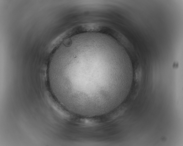 X0000111150733200906301337